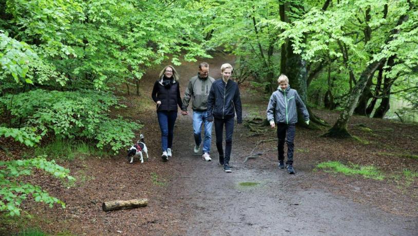 A family taking a walk in the forest with the dog