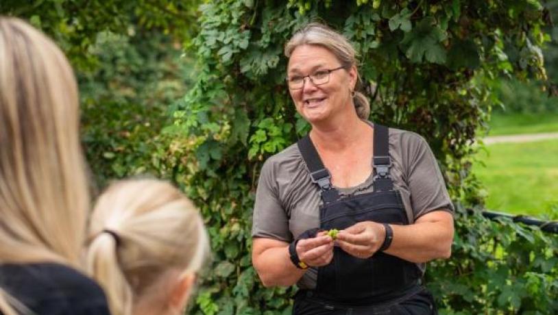 A local guide giving a tour of Endelave Medical Herb Garden on the year’s island of Endelave