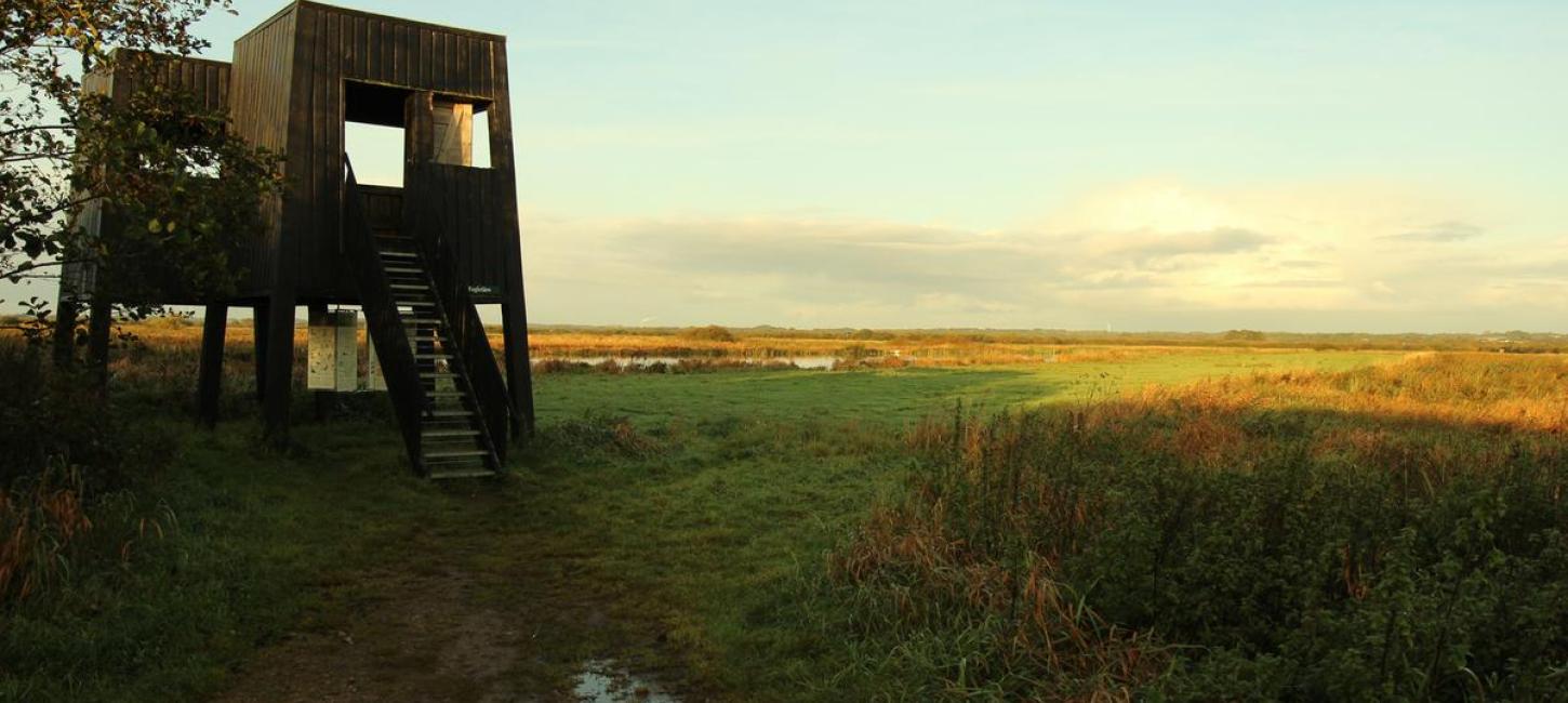 Bird tower at Uldum kær