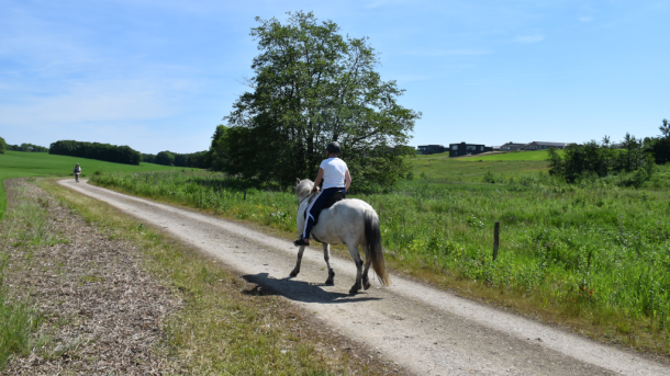 Woman riding on the bridle path at Bendixminde in Odder