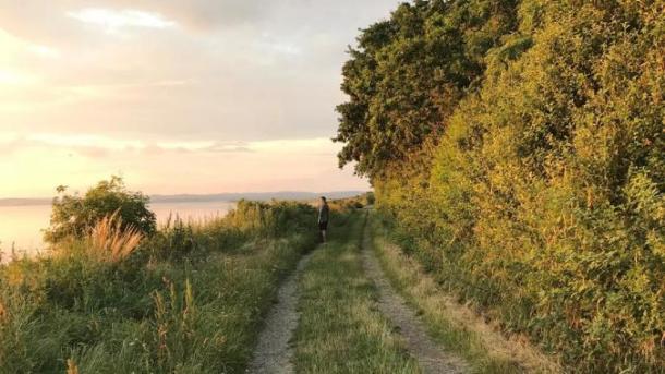 Man on a hiking trail at Borre Knob by Horsens Fjord