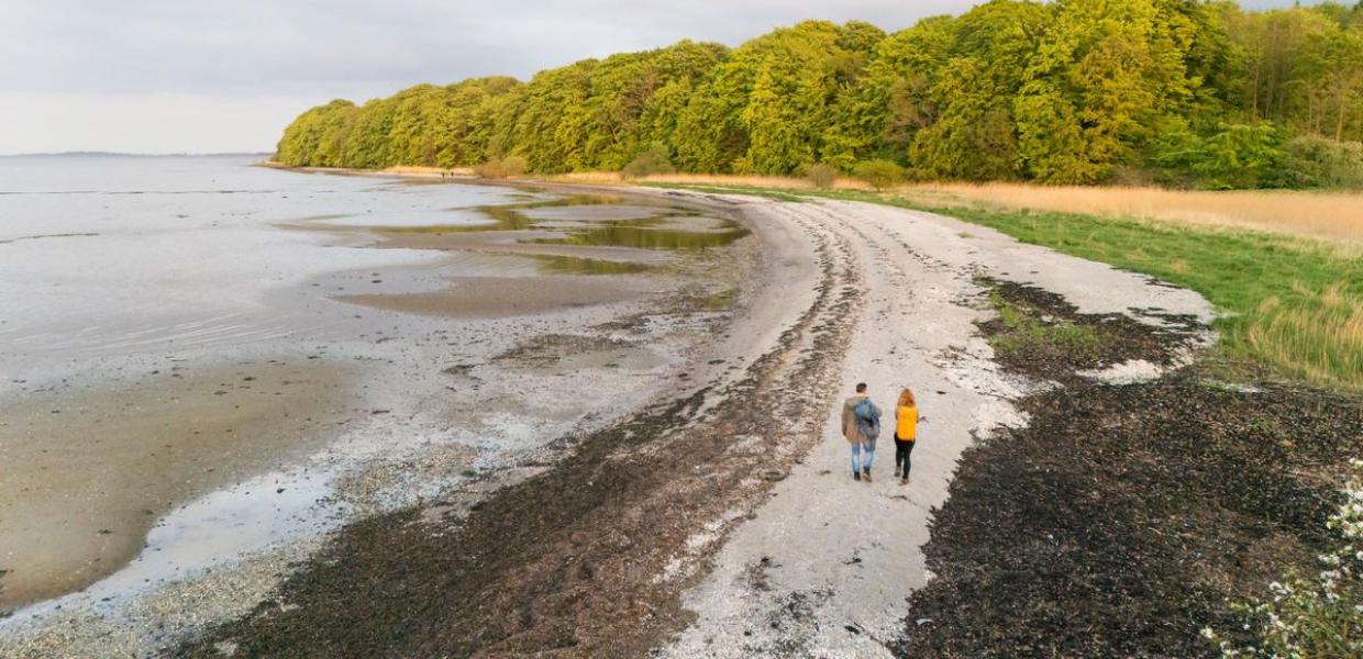 Zwei Menschen gehen an der Küste entlang auf der Südseite des Horsens Fjords