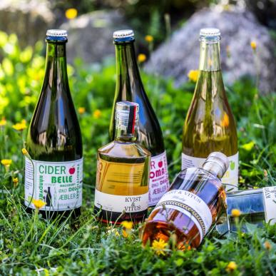 seks flasker med spiritus og vin står i højt grønt græs